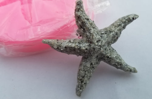 Seashell mold...starfish